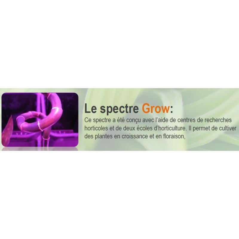SpectraSPOT 36 GROW FLORALED
