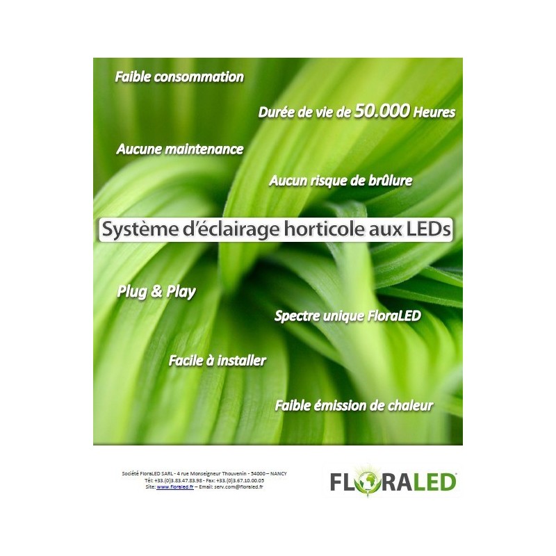 SpectraSPOT 36 GROW FLORALED