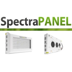 SpectraPANEL 119 VISUA FLORALED