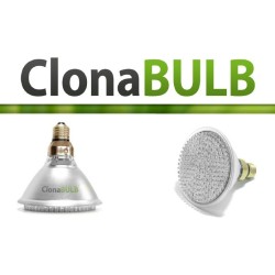 ClonaBULB 168 / 15W