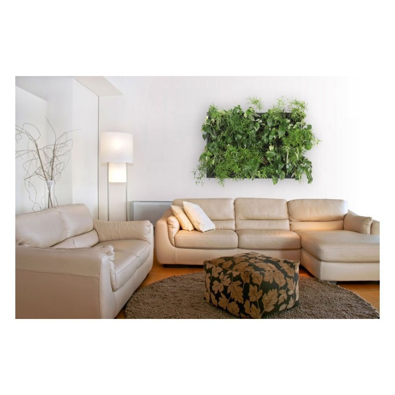 Flowall Complet Vert foncé