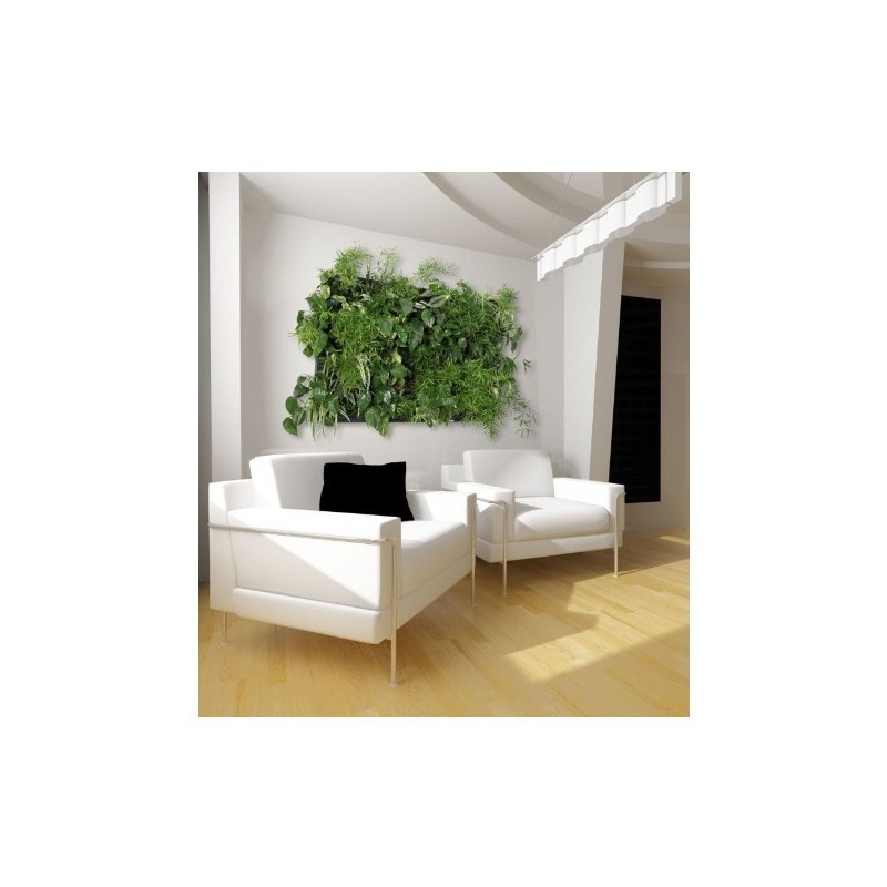 Flowall Complet Vert foncé