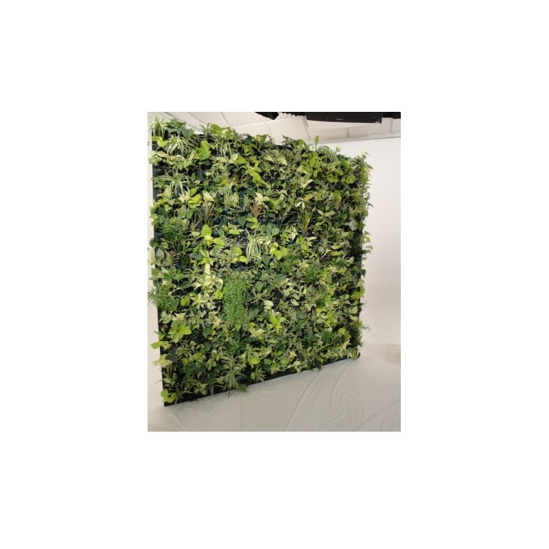 Flowall Complet Terra Cotta 