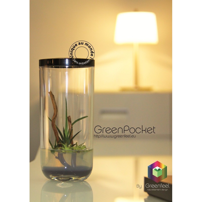 GreenPocket RainForest