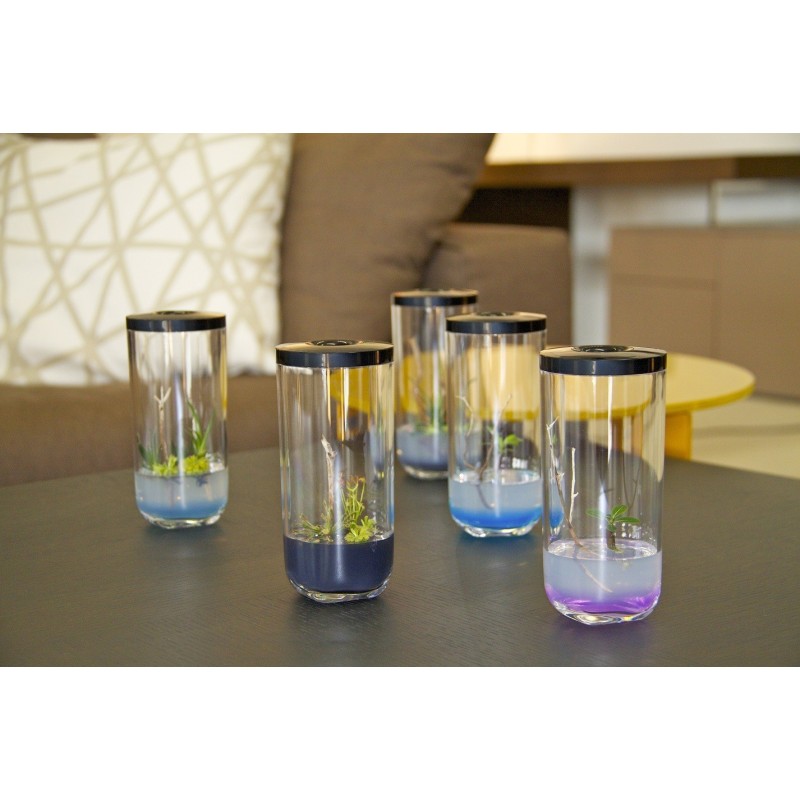 GreenPocket RainForest