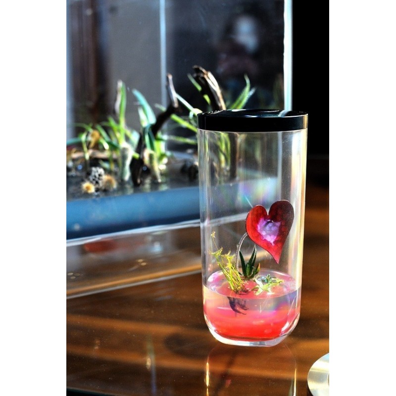 GreenPocket St Valentin