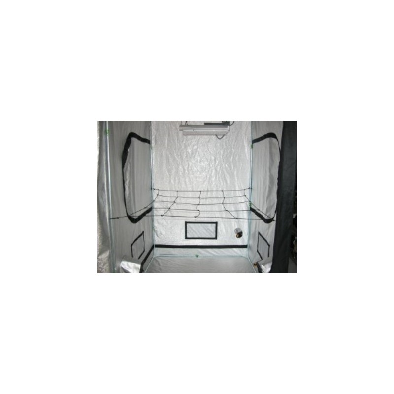 Webit petit / De 60 à 90 cm