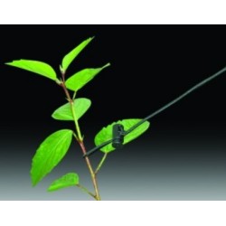 Holdit maintien pour plantes 1.5 m