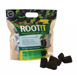 Root it  sachet de 50 pièces