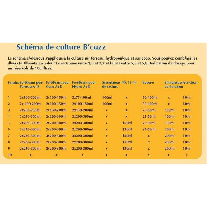 Schéma de culture Bcuzz Terre