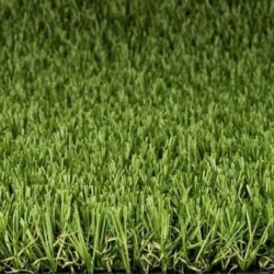 Gazon Greenchantelle