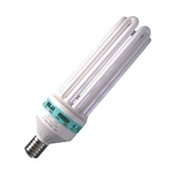 Ampoule CFL 125w 6400K Croissance