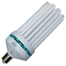 CFL 250w Floraison 2700k