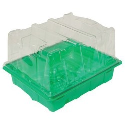 Serre léonardo 20 x 16 x 14 cm avec couvercle