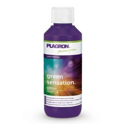 Plagron Présentoir 35 x Green Sensation 100ml
