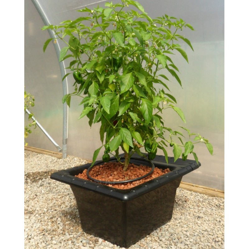 Flo Gro 500 55x44x28 cm Nutriculture