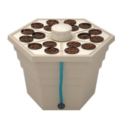 Rainforest 3" GHE 18 Pots