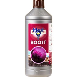 HESI BOOST 1L