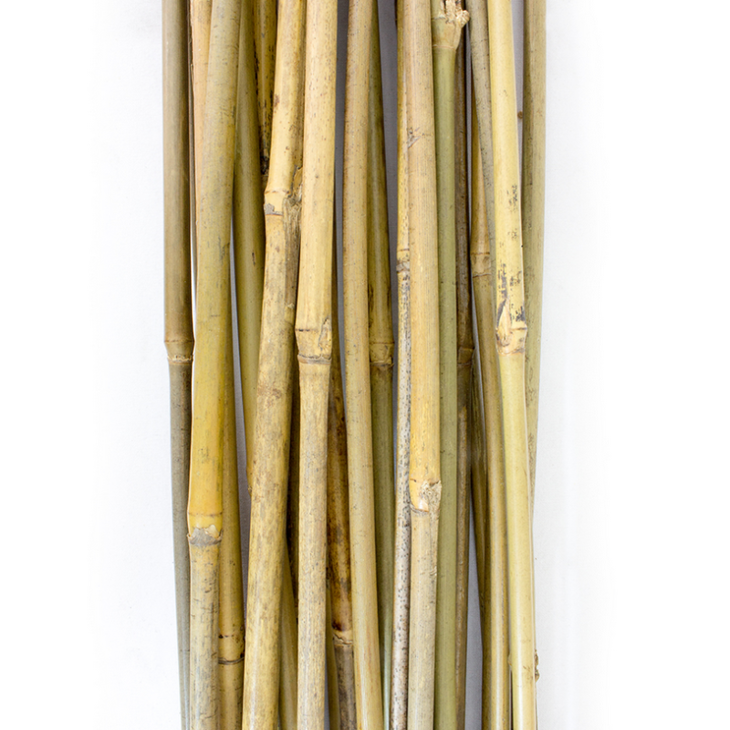 Tuteur - Bamboo 90 cm x 25 unités