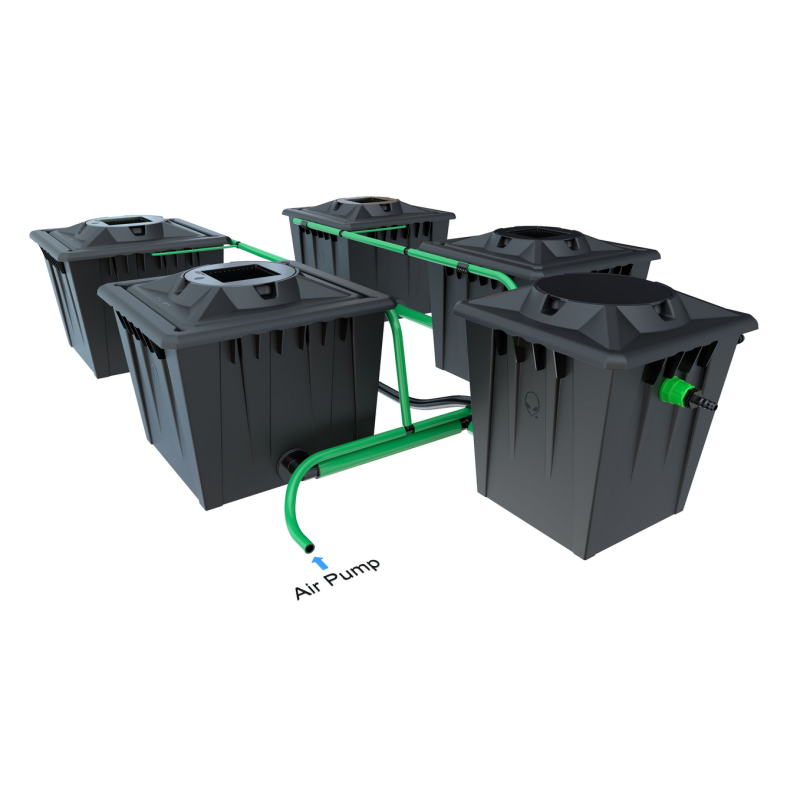 Système ALIEN RDWC XL 4 Pots 30L