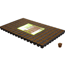 Eazy Plug - Plateau 150 Cubes