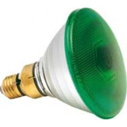 Ampoule verte 80W SYLVANIA