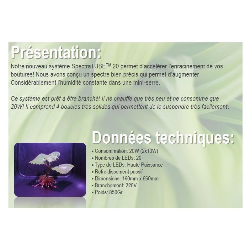 SpectraTUBE 20 GROW FLORALED