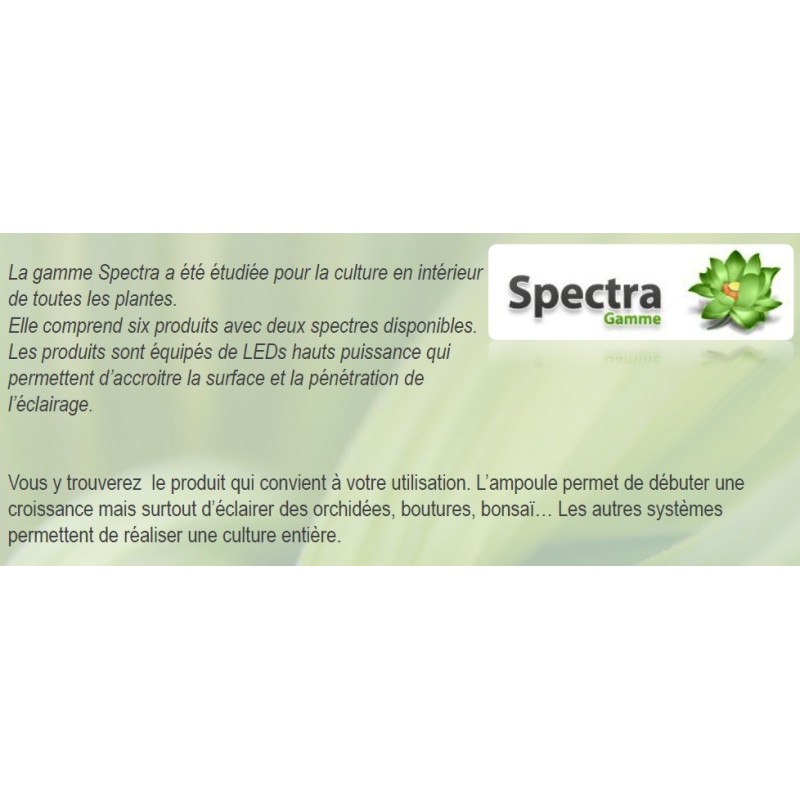 SpectraSPOT 36 VISUA FLORALED