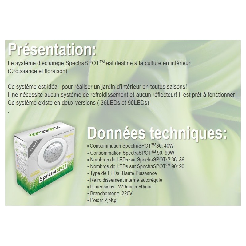 SpectraSPOT 36 VISUA FLORALED